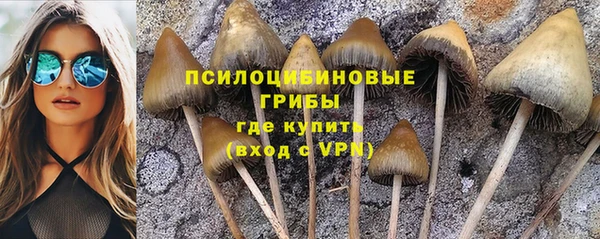 спиды Алексеевка